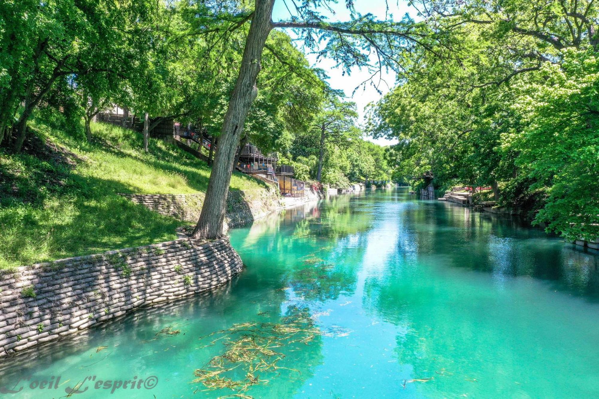 The Iron Cactus Condo On The Comal Cw C102 New Braunfels Luaran gambar